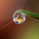Image for article titled Shooting Challenge Gallery : Sunshine II